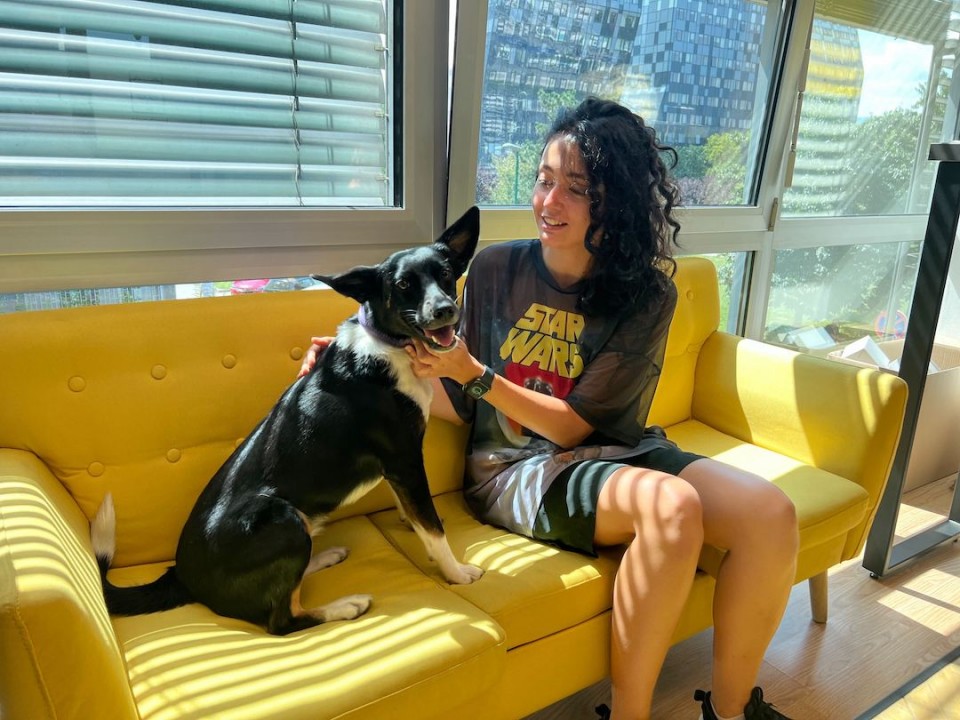 Benefits of working from a pet-friendly coworking space